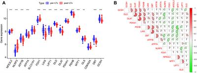 Identification of cuproptosis-related biomarkers and analysis of immune infiltration in allograft lung ischemia-reperfusion injury